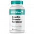 Angelica Sinensis 250Mg Com Red Clover 200Mg 60 Cápsulas